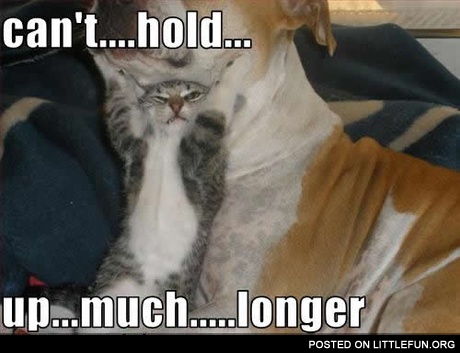 Can't hold up much longer