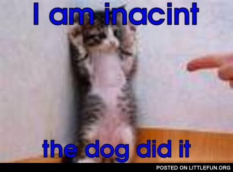 I am innocent