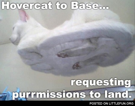 Hovercat to base