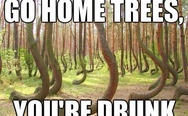Go home trees
