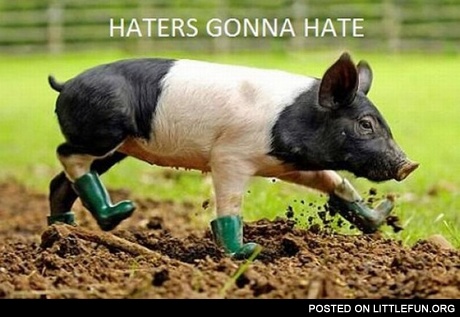 Pig in boots