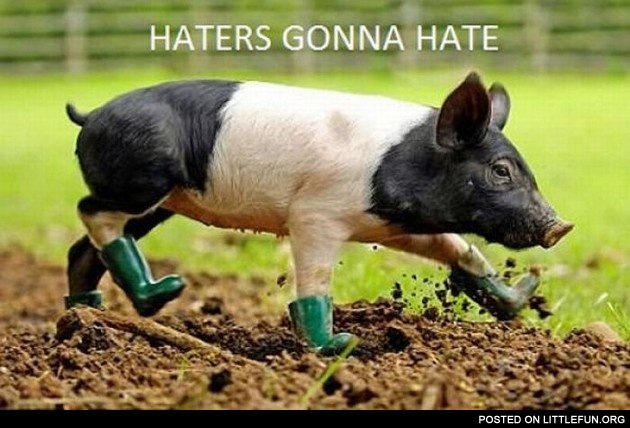 Pig in boots