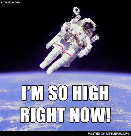 Dude, I'm so high right now!