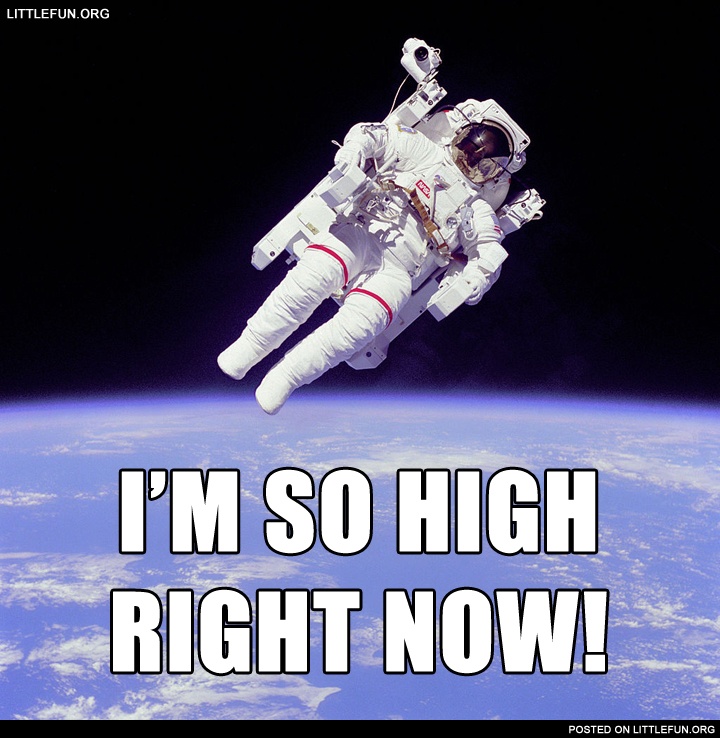 Dude, I'm so high right now!