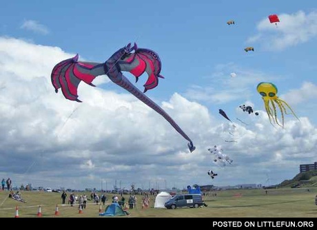 Dragon kite