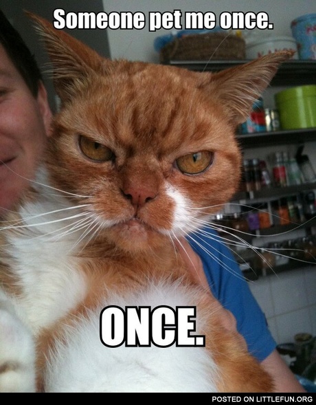 Someone pet me once