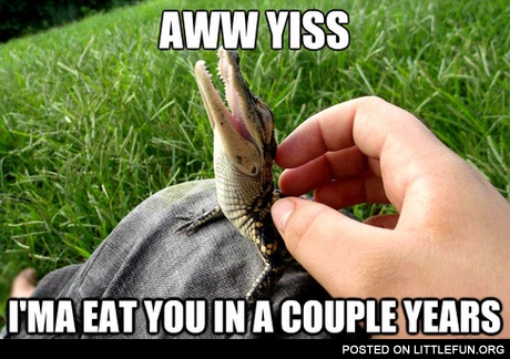 Aww yes