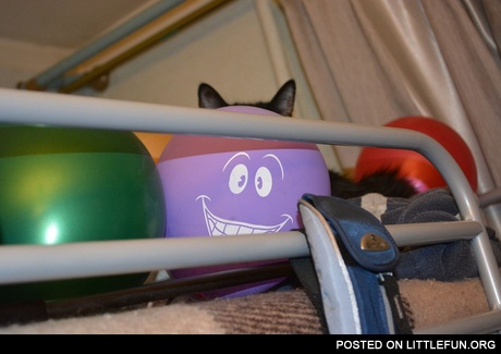 Balloon with ears