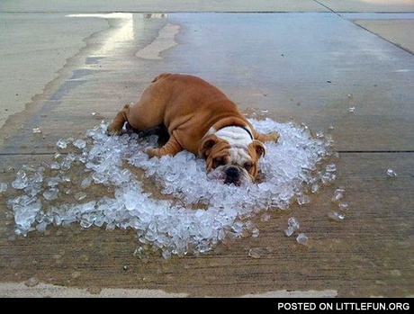 It's hot outside