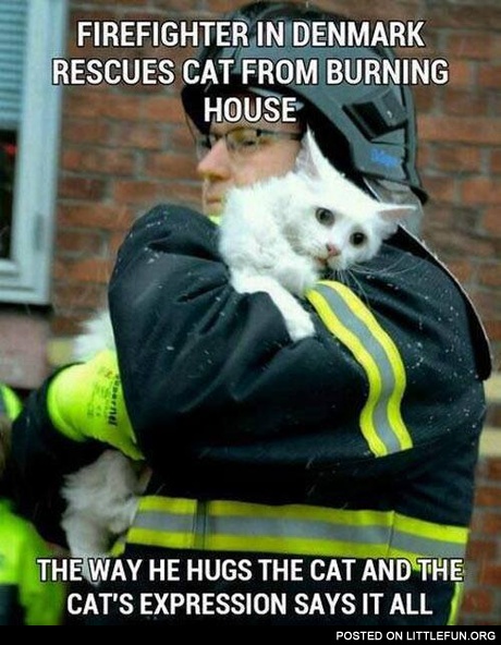Firefighter in Denmark rescues cat from burning house