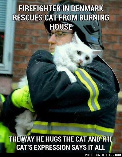 Firefighter in Denmark rescues cat from burning house