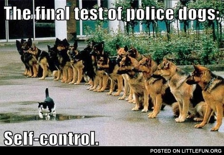 Self-control