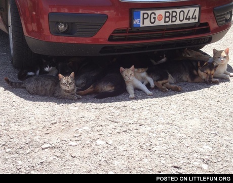 A hot day