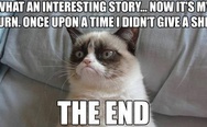 Grumpy cat loves your stories