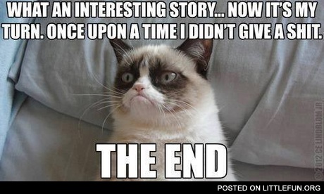 Grumpy cat loves your stories