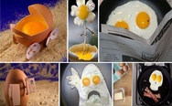 Creative eggs