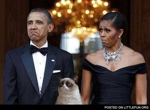 Obama and Grumpy Cat
