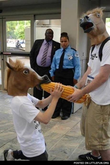 That weird people in horse masks