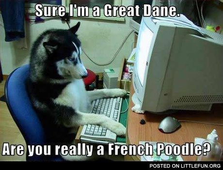 Are you really a French Poodle?