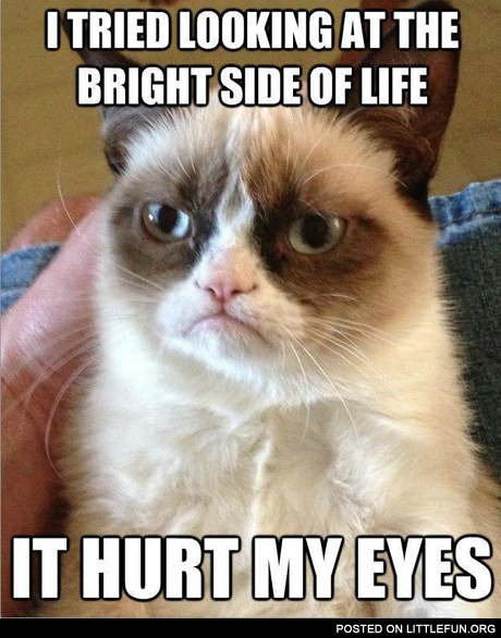 I tried looking at the bright side of life