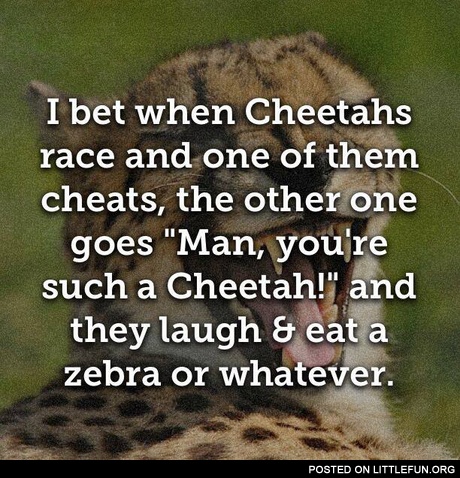 Cheetahs are cheaters