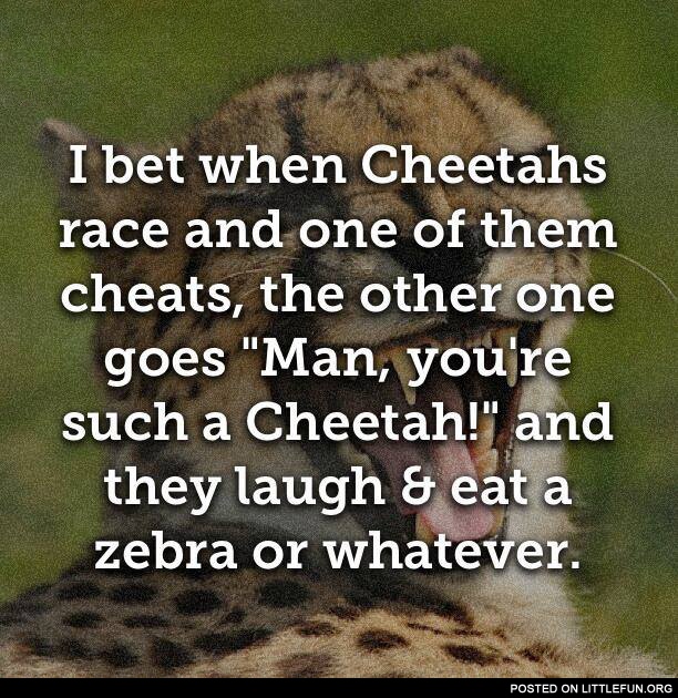 Cheetahs are cheaters
