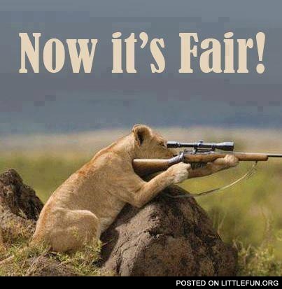 Now it's fair