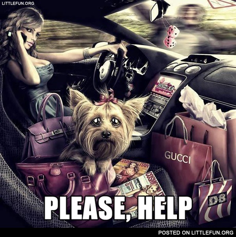 Please, help