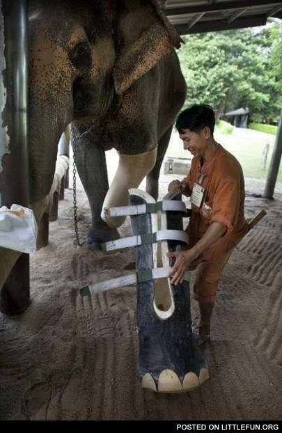 Faith in humanity restored