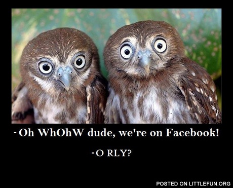 O RLY?