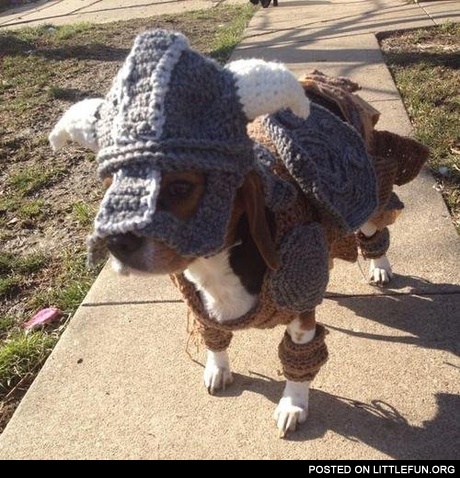 Skyrim dog