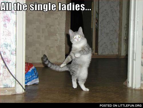 All the single ladies