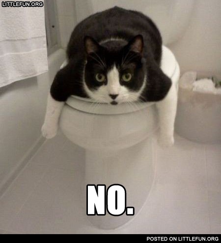 No.
