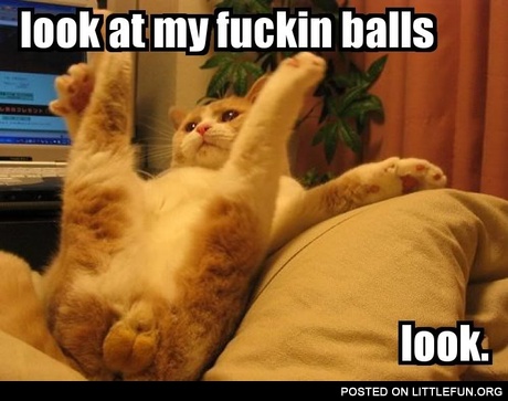 Look at my balls