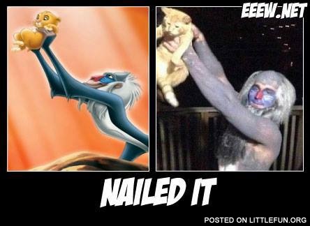 Lion King, nailed it