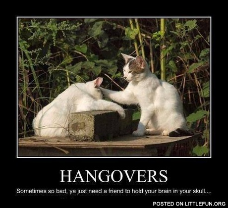 Hangovers