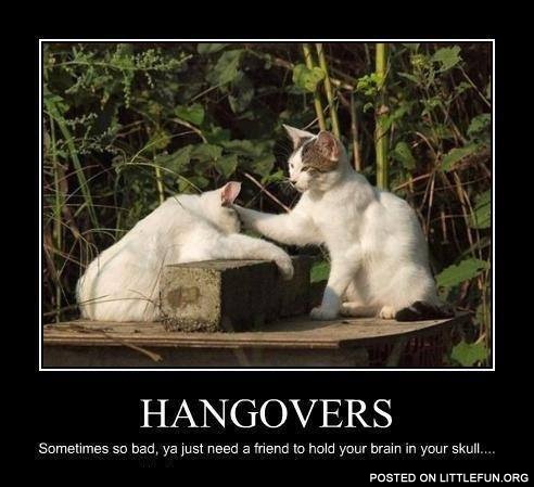 Hangovers