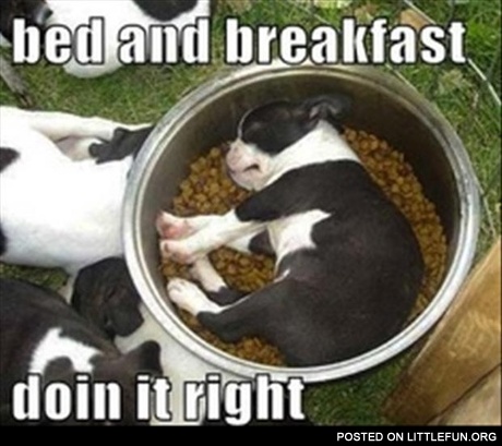 Bed and breakfast