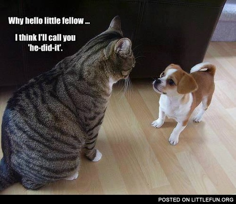 I'll call you He-did-it