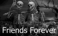 Friends forever