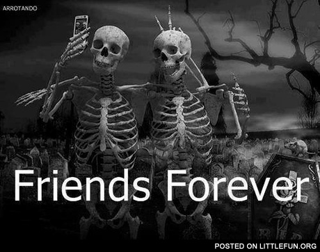 Friends forever
