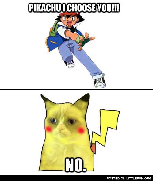 Pikachu, I choose you