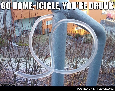 Go home, icicle, you're drunk