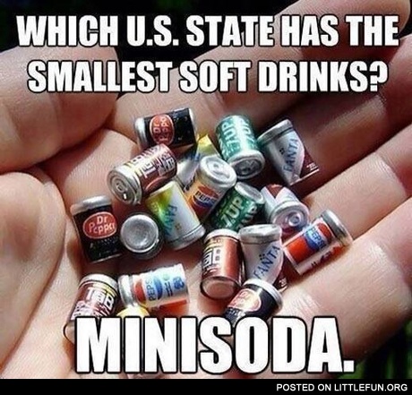 Minisoda