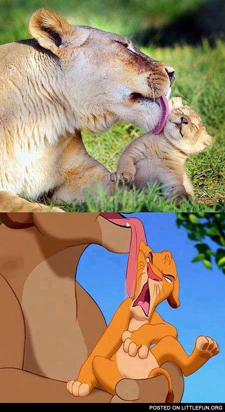 Lion king in real life