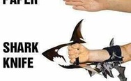 Shark knife