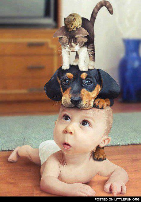 Playing with pets