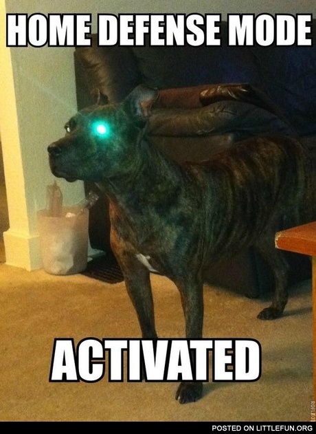 Home defense mode activated