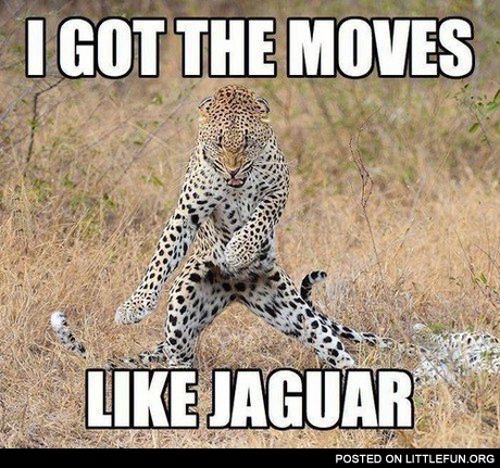 I got the moves like jaguar