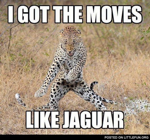 I got the moves like jaguar
